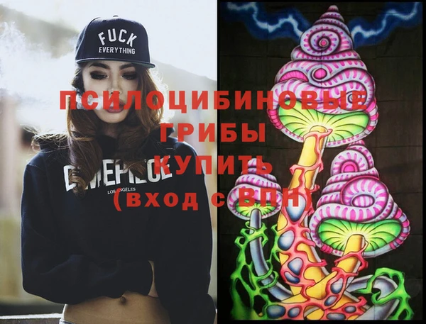 стафф Ладушкин