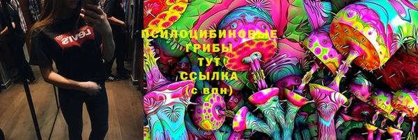 стафф Ладушкин