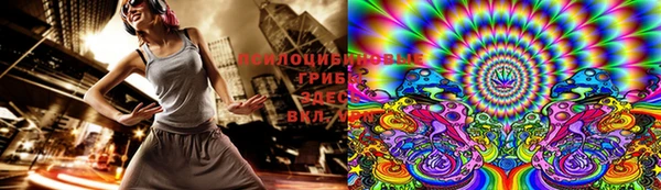 стафф Ладушкин