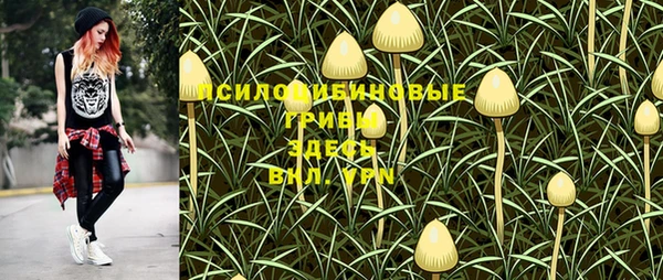 таблы Лабытнанги