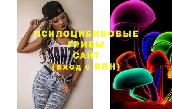 стафф Ладушкин